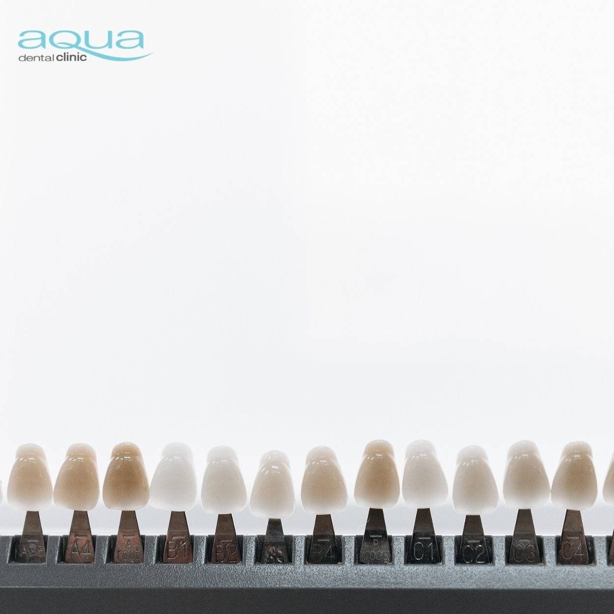 photo of tooth colours